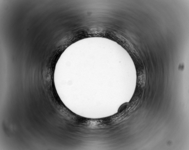 X0000103440662200810101106
