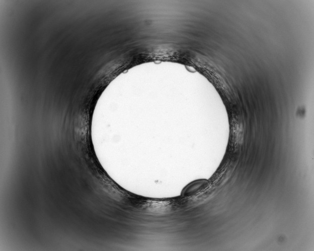 X0000103440665200810101106