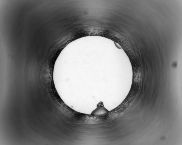 X0000103440666200810101106