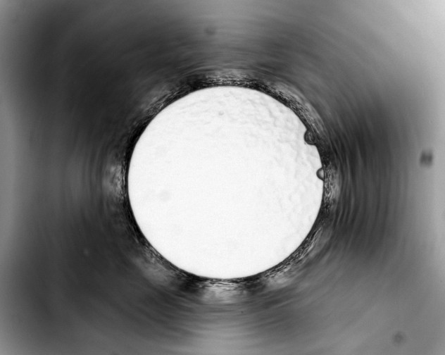 X0000103440669200810101106