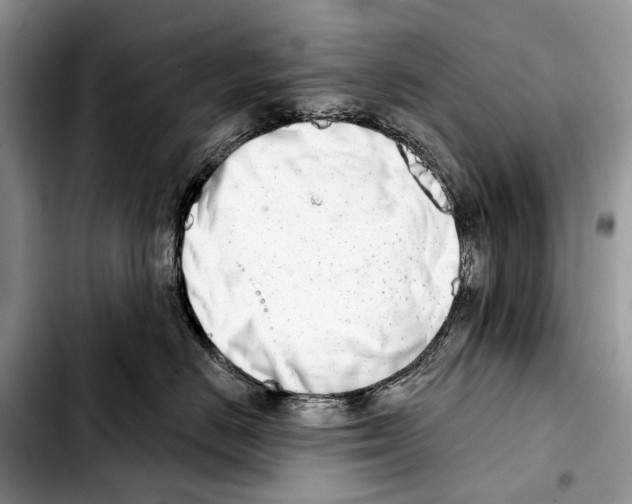 X0000103440670200810101106