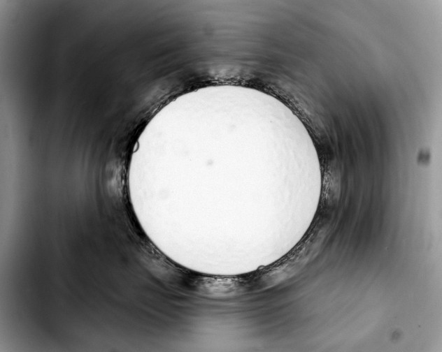 X0000103440671200810101106