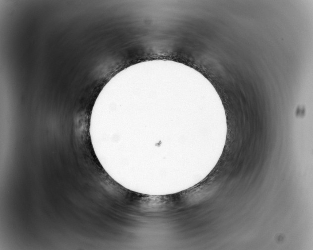 X0000103440672200810101106