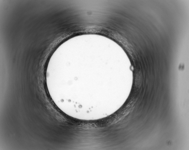 X0000103440673200810101106