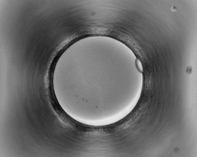 X0000103440674200810101106
