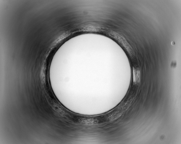 X0000103440675200810101106