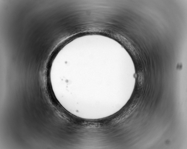X0000103440676200810101106