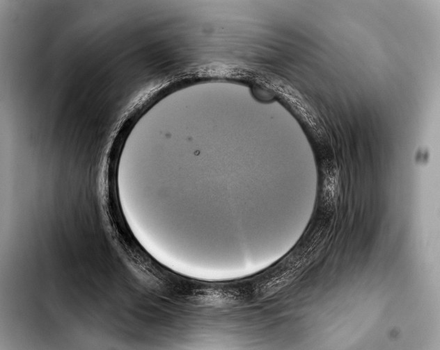 X0000103440678200810101106