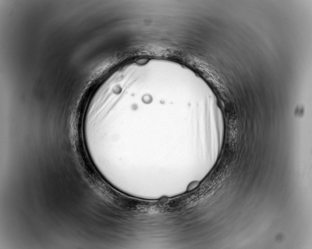 X0000103440679200810101106
