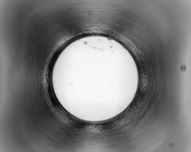 X0000103440680200810101106