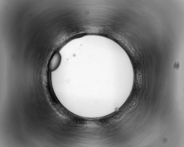 X0000103440682200810101105
