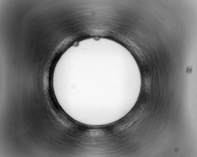 X0000103440686200810101105