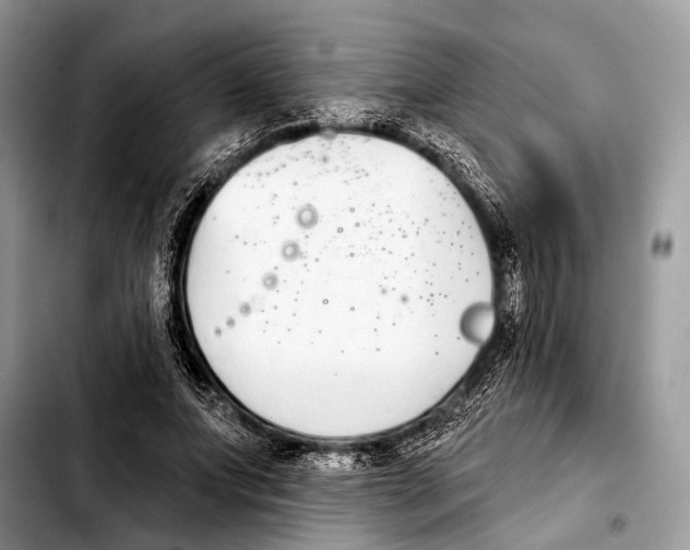 X0000103440687200810101105