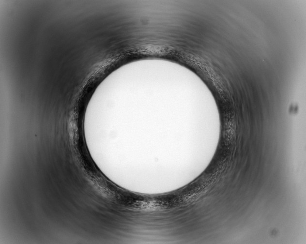X0000103440688200810101105