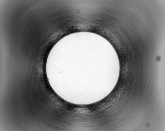 X0000103440689200810101105