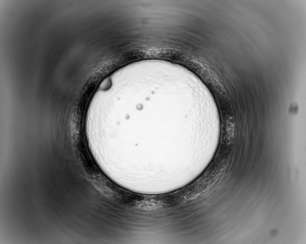 X0000103440691200810101105