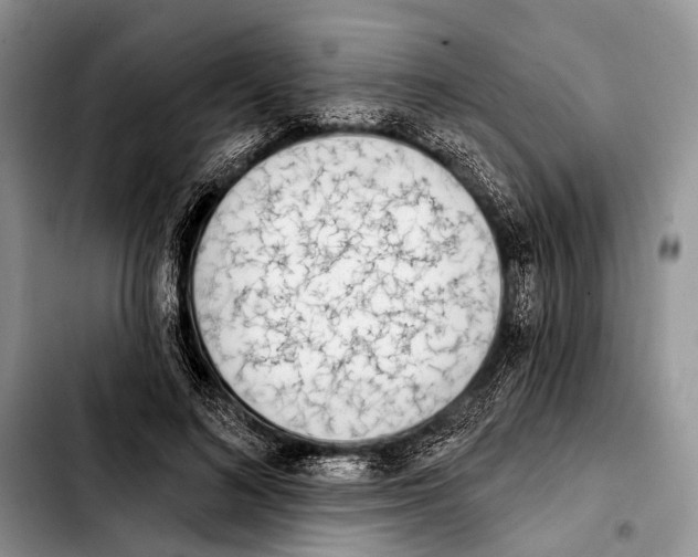X0000103440692200810101105