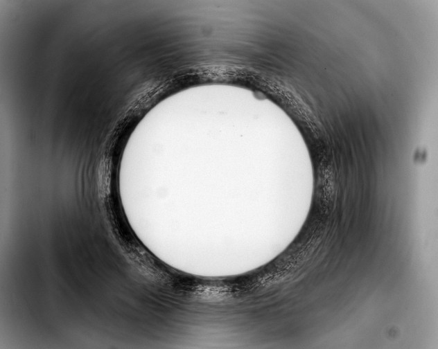 X0000103440694200810101105