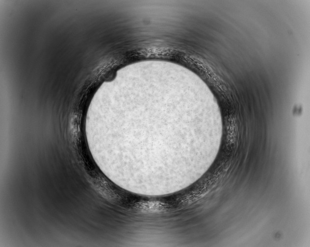 X0000103440695200810101105