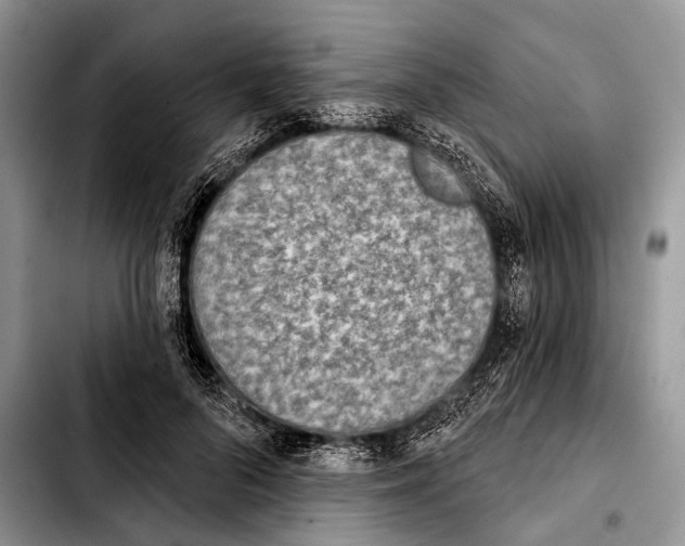 X0000103440696200810101105