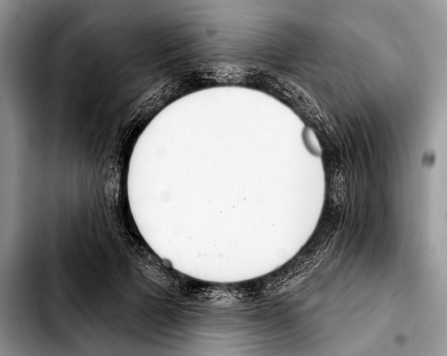 X0000103440697200810101105