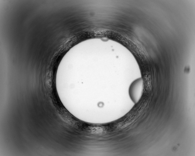 X0000103440698200810101105
