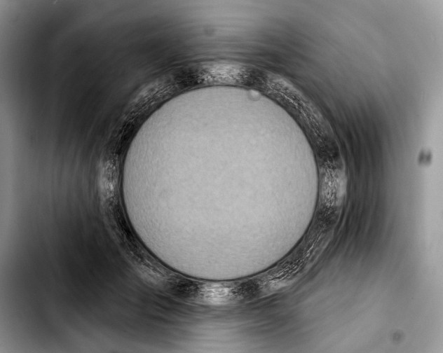 X0000103440701200810101105
