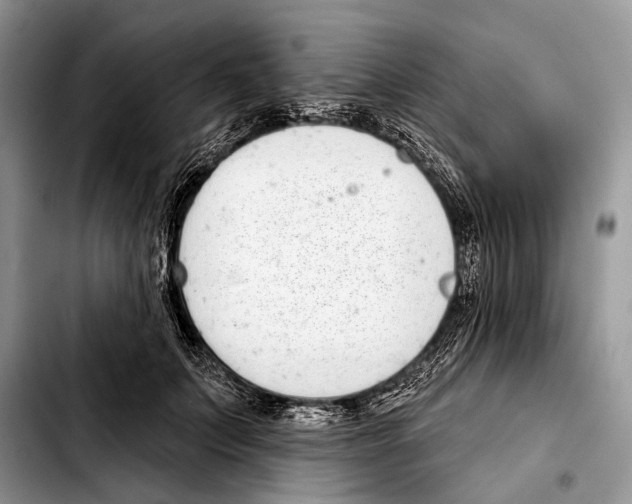 X0000103440703200810101105
