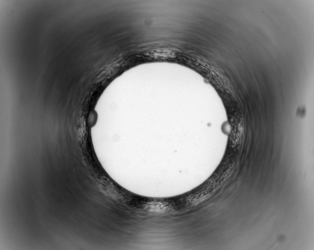 X0000103440704200810101105
