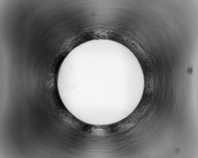 X0000103440706200810101105