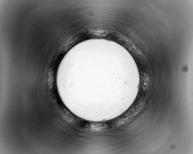 X0000103440707200810101105