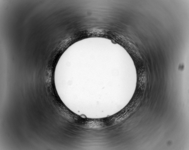 X0000103440708200810101105