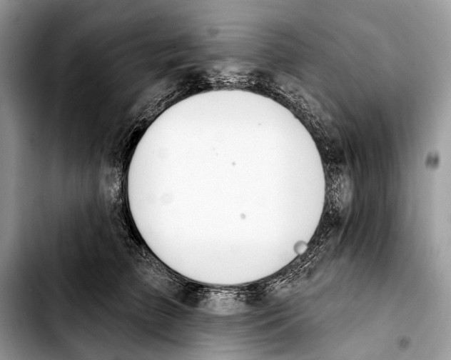 X0000103440709200810101105
