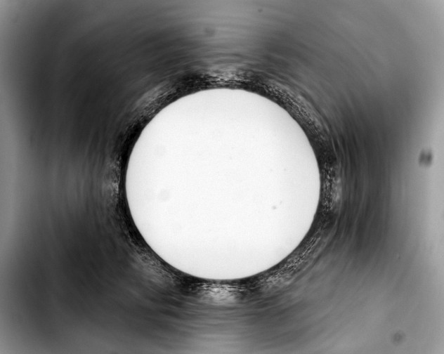 X0000103440710200810101105