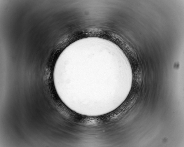 X0000103440711200810101105