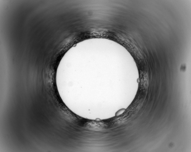X0000103440712200810101105
