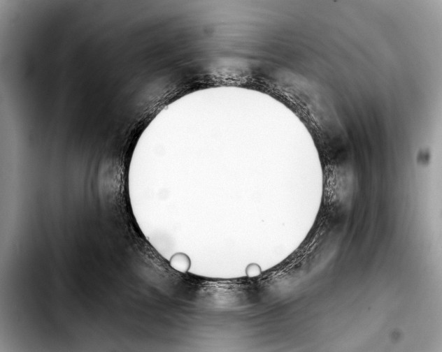 X0000103440713200810101105