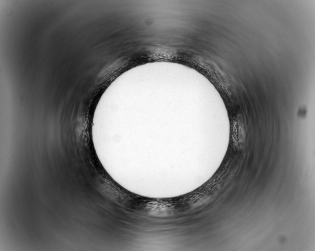 X0000103440714200810101105