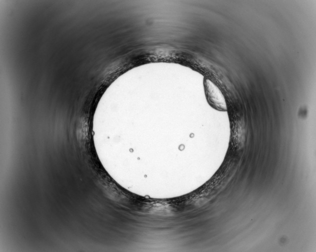 X0000103440715200810101105