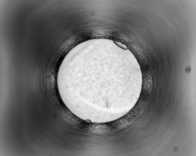 X0000103440716200810101105