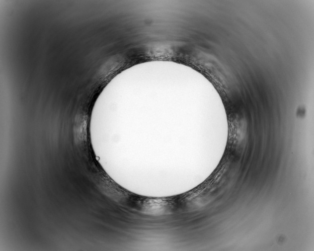 X0000103440717200810101105