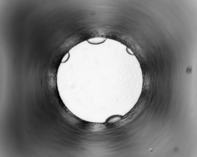 X0000103440719200810101105