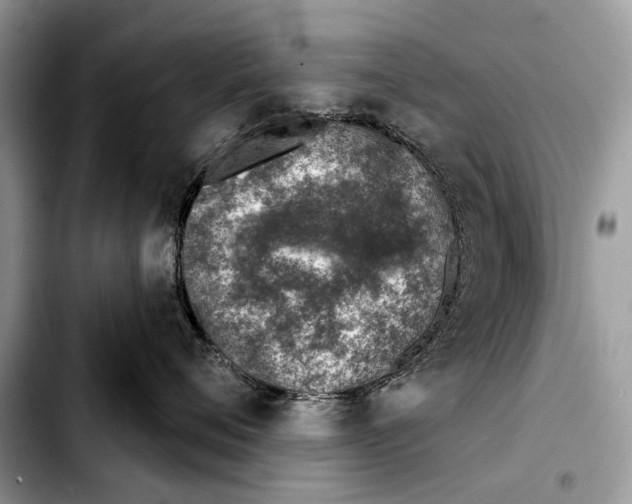 X0000103440720200810101105