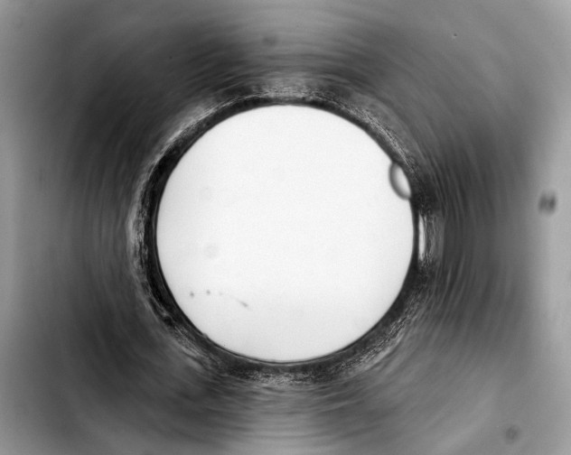 X0000103440723200810101104