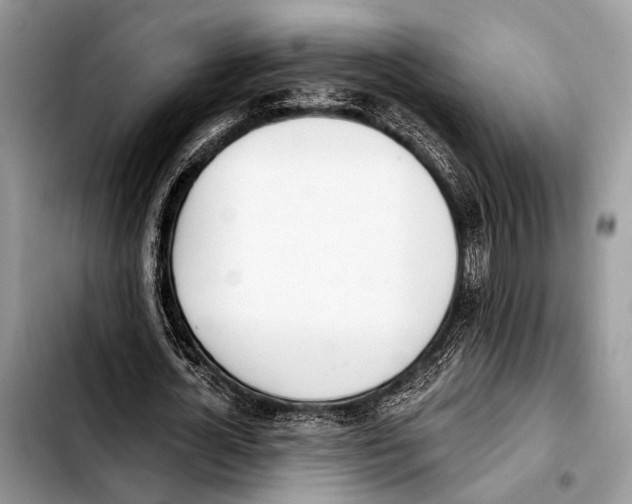 X0000103440724200810101104