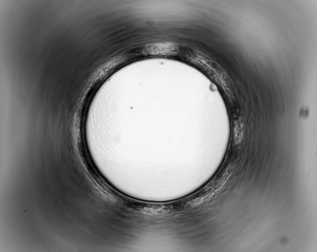 X0000103440725200810101104