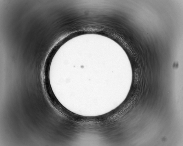 X0000103440726200810101104
