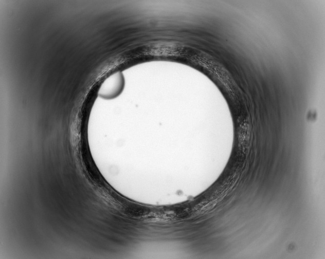 X0000103440727200810101104
