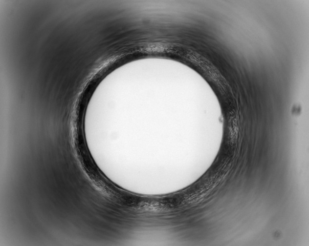 X0000103440728200810101104