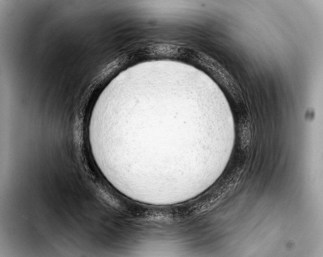 X0000103440729200810101104